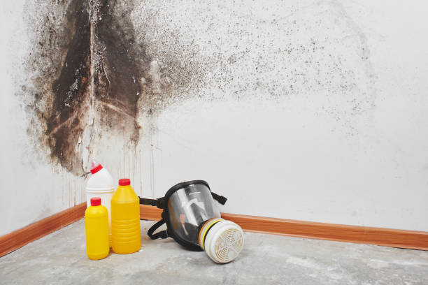 Best Commercial Mold Removal  in Lake Mills, WI