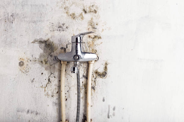 Best Water Damage Restoration  in Lake Mills, WI