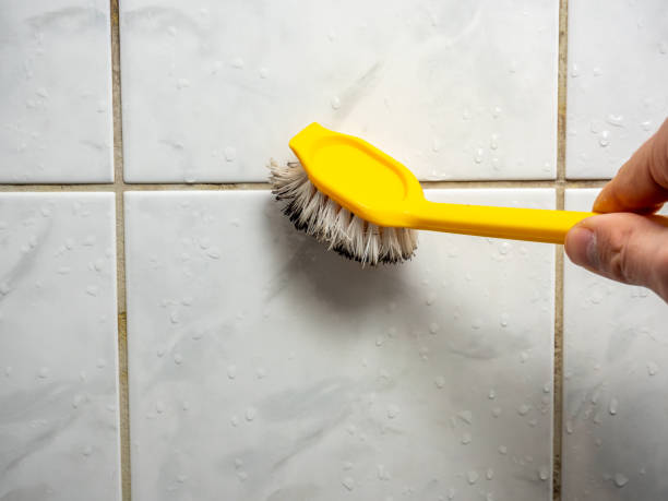 Best Best Mold Removal Companies  in Lake Mills, WI