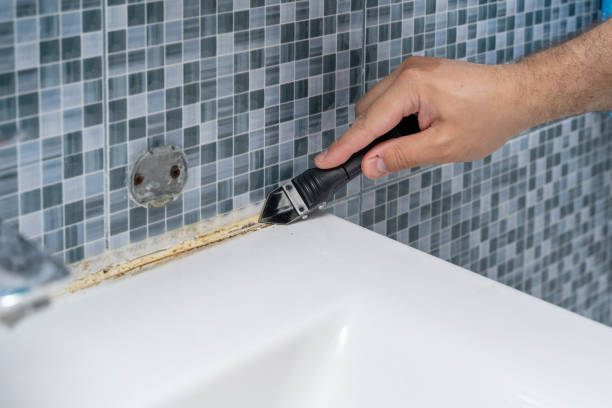 Professional Mold Removal in Lake Mills, WI