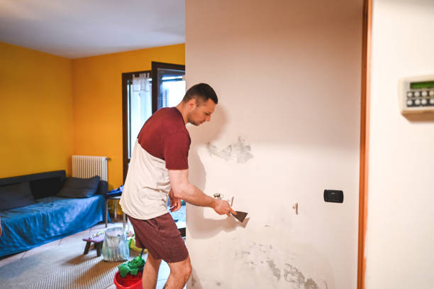 Best Mold Removal Company Near Me  in Lake Mills, WI