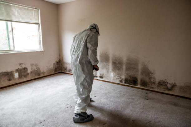 Best Emergency Mold Removal  in Lake Mills, WI